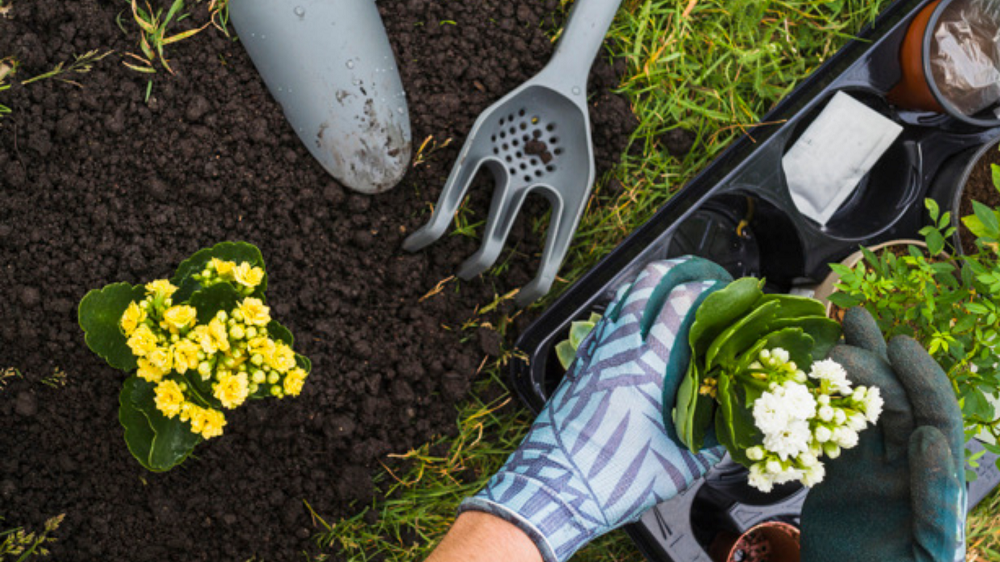 Set giardinaggio personalizzabile con logo