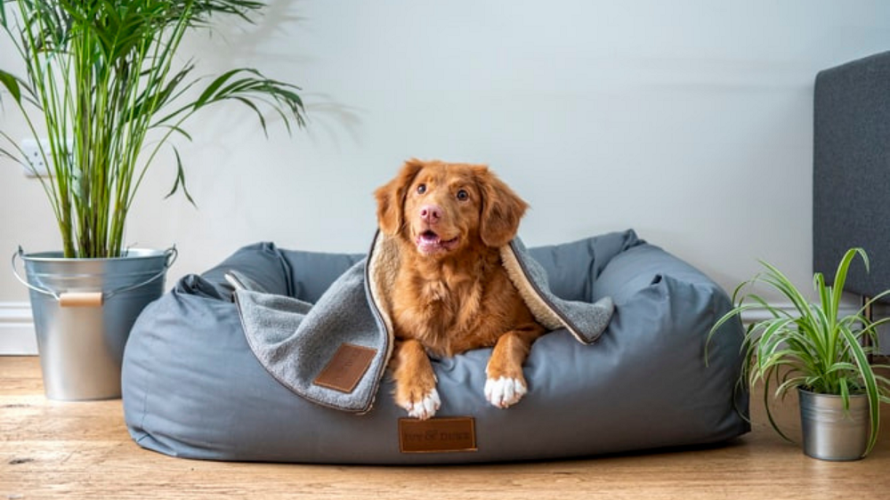 Cuscino per animali domestici promozionale